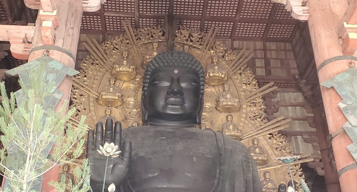 大仏様 ご確認 令和6年3月25日号 世のため、人のため - エス・エスホームケア